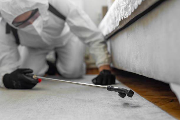 Professional Termite Control technician working in Alliance, NC